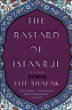 The Bastard of Istanbul